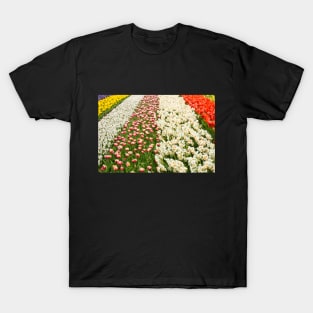 Keukenhof Tulip Festival, Holland T-Shirt